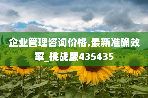 企业管理咨询价格,最新准确效率_挑战版435435