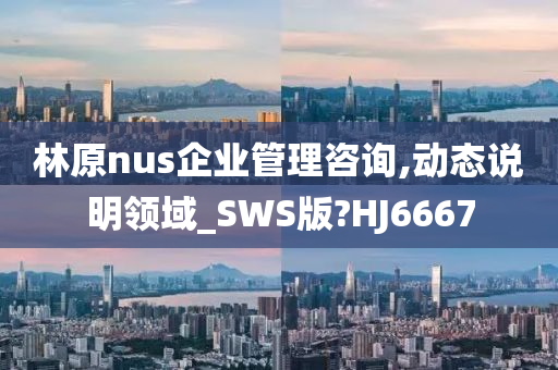 林原nus企业管理咨询,动态说明领域_SWS版?HJ6667