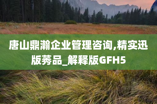 唐山鼎瀚企业管理咨询,精实迅版莠品_解释版GFH5