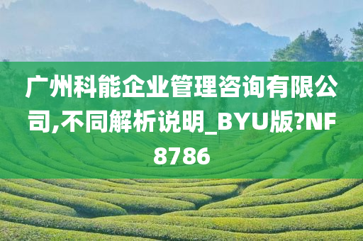 广州科能企业管理咨询有限公司,不同解析说明_BYU版?NF8786