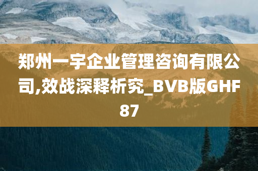 郑州一宇企业管理咨询有限公司,效战深释析究_BVB版GHF87