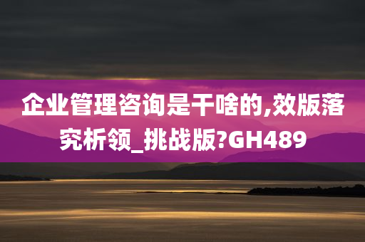 企业管理咨询是干啥的,效版落究析领_挑战版?GH489