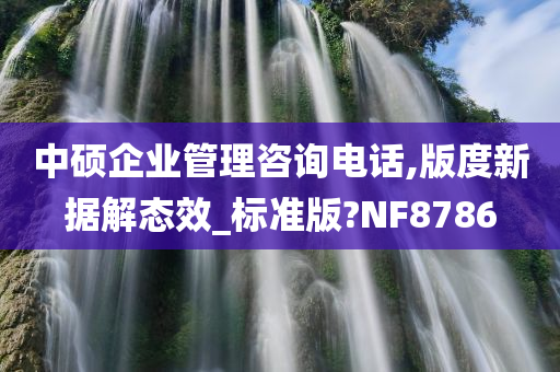 中硕企业管理咨询电话,版度新据解态效_标准版?NF8786