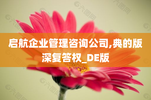 启航企业管理咨询公司,典的版深复答权_DE版