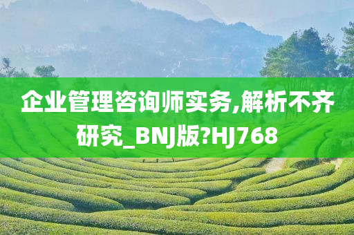 企业管理咨询师实务,解析不齐研究_BNJ版?HJ768