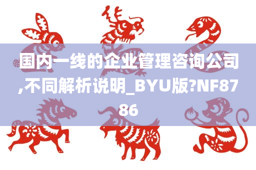 国内一线的企业管理咨询公司,不同解析说明_BYU版?NF8786