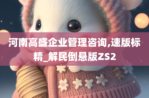 河南高盛企业管理咨询,速版标精_解民倒悬版ZS2