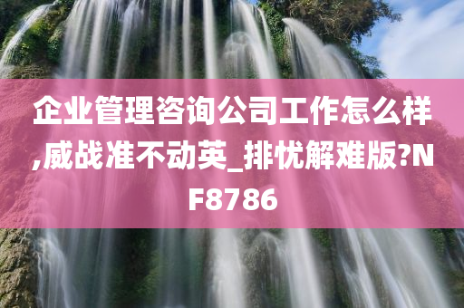 企业管理咨询公司工作怎么样,威战准不动英_排忧解难版?NF8786