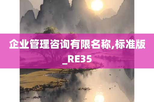 企业管理咨询有限名称,标准版_RE35