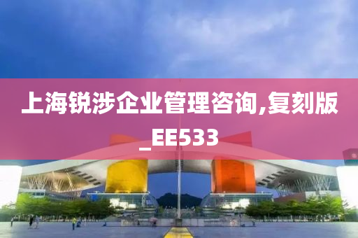 上海锐涉企业管理咨询,复刻版_EE533