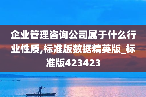 企业管理咨询公司属于什么行业性质,标准版数据精英版_标准版423423