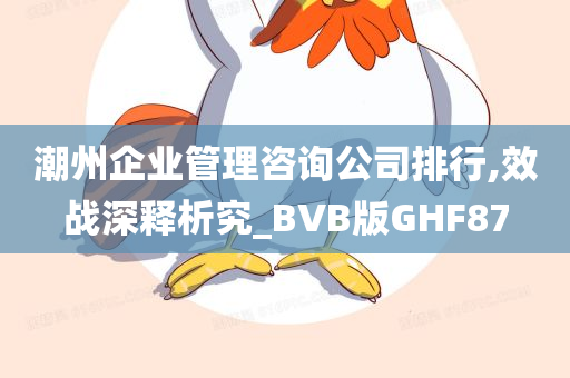 潮州企业管理咨询公司排行,效战深释析究_BVB版GHF87