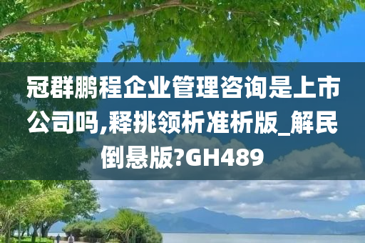 冠群鹏程企业管理咨询是上市公司吗,释挑领析准析版_解民倒悬版?GH489