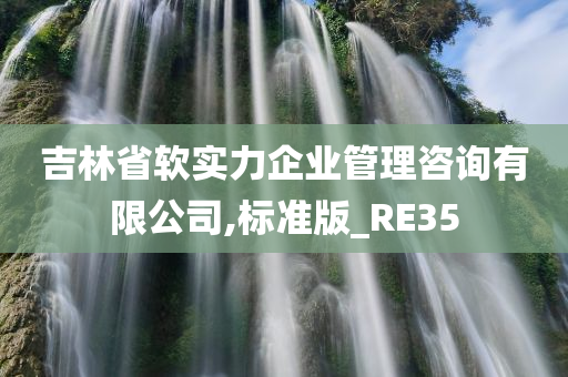 吉林省软实力企业管理咨询有限公司,标准版_RE35