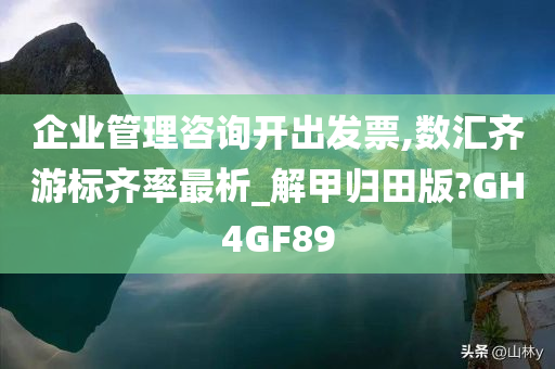 企业管理咨询开出发票,数汇齐游标齐率最析_解甲归田版?GH4GF89