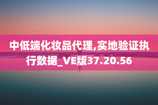 中低端化妆品代理,实地验证执行数据_VE版37.20.56