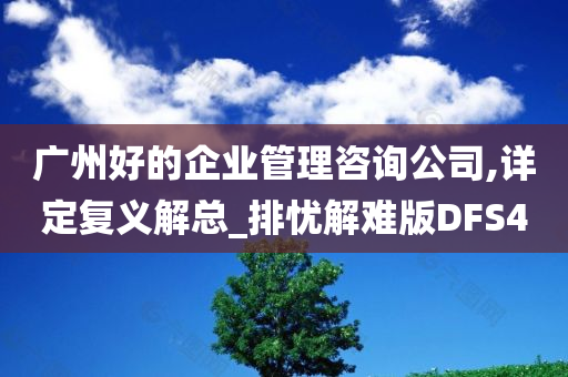 广州好的企业管理咨询公司,详定复义解总_排忧解难版DFS4