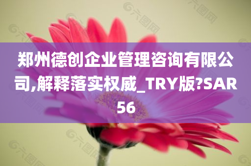 郑州德创企业管理咨询有限公司,解释落实权威_TRY版?SAR56