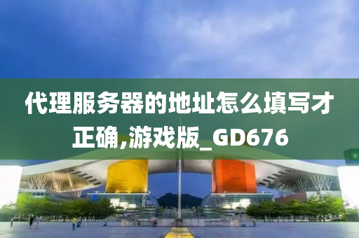 代理服务器的地址怎么填写才正确,游戏版_GD676