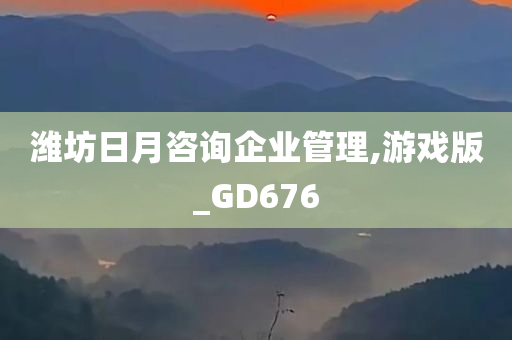 潍坊日月咨询企业管理,游戏版_GD676