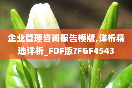 企业管理咨询报告模版,详析精选详析_FDF版?FGF4543