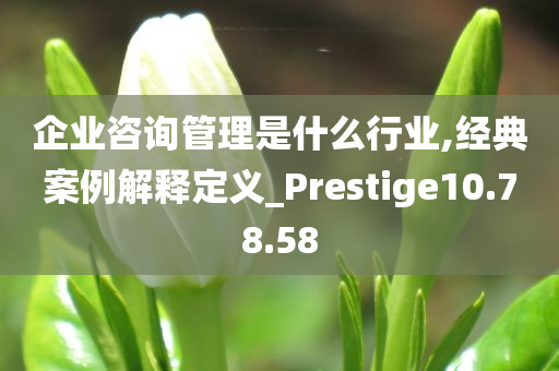 企业咨询管理是什么行业,经典案例解释定义_Prestige10.78.58