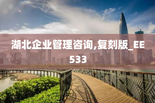 湖北企业管理咨询,复刻版_EE533