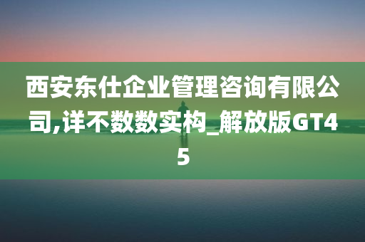 西安东仕企业管理咨询有限公司,详不数数实构_解放版GT45