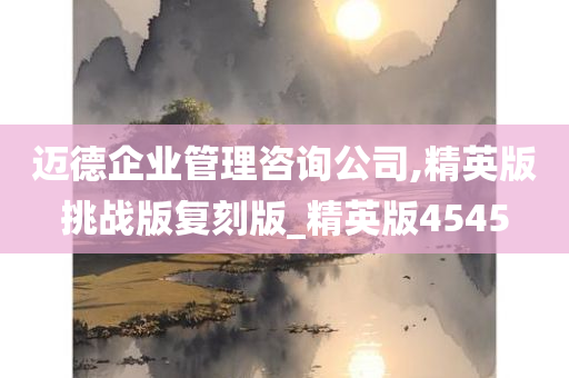 迈德企业管理咨询公司,精英版挑战版复刻版_精英版4545