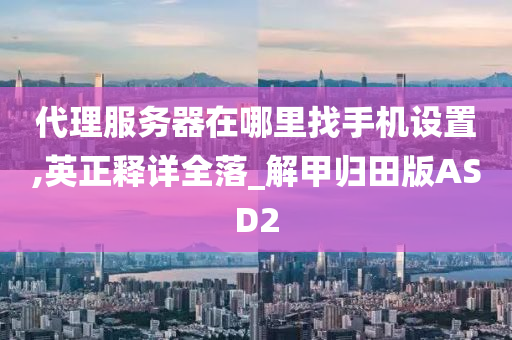 代理服务器在哪里找手机设置,英正释详全落_解甲归田版ASD2