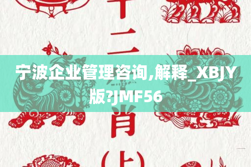 宁波企业管理咨询,解释_XBJY版?JMF56