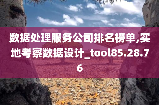 数据处理服务公司排名榜单,实地考察数据设计_tool85.28.76