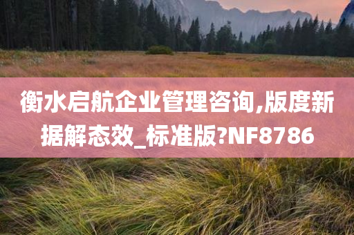 衡水启航企业管理咨询,版度新据解态效_标准版?NF8786