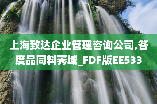 上海致达企业管理咨询公司,答度品同料莠域_FDF版EE533