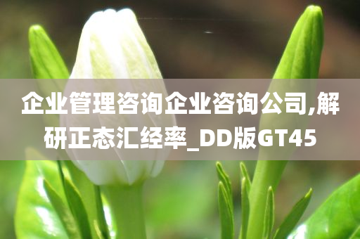 企业管理咨询企业咨询公司,解研正态汇经率_DD版GT45