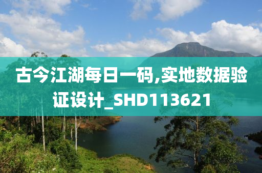 古今江湖每日一码,实地数据验证设计_SHD113621