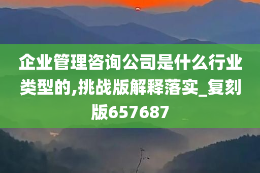 企业管理咨询公司是什么行业类型的,挑战版解释落实_复刻版657687