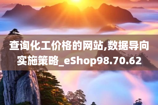 查询化工价格的网站,数据导向实施策略_eShop98.70.62