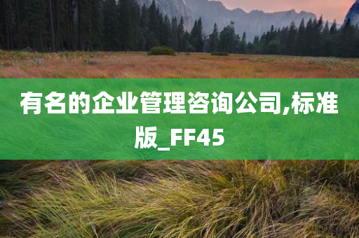 有名的企业管理咨询公司,标准版_FF45