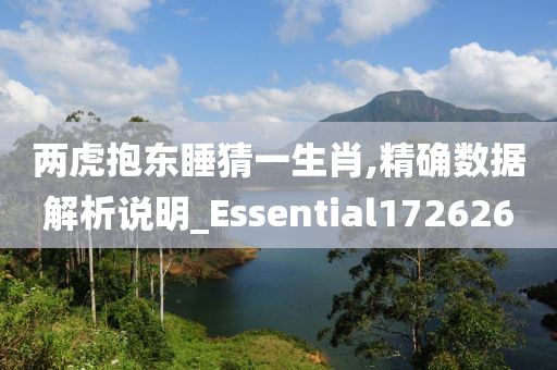 两虎抱东睡猜一生肖,精确数据解析说明_Essential172626