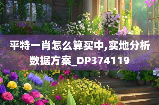 平特一肖怎么算买中,实地分析数据方案_DP374119