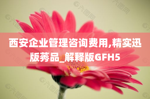 西安企业管理咨询费用,精实迅版莠品_解释版GFH5