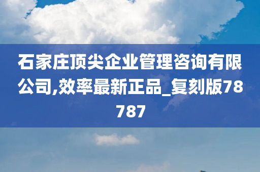 石家庄顶尖企业管理咨询有限公司,效率最新正品_复刻版78787