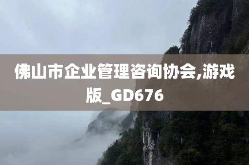 佛山市企业管理咨询协会,游戏版_GD676