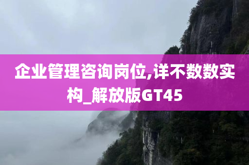 企业管理咨询岗位,详不数数实构_解放版GT45