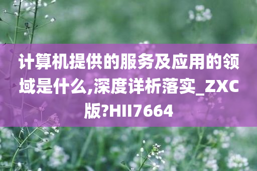 计算机提供的服务及应用的领域是什么,深度详析落实_ZXC版?HII7664