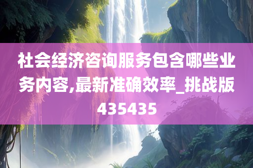 社会经济咨询服务包含哪些业务内容,最新准确效率_挑战版435435