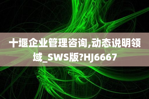 十堰企业管理咨询,动态说明领域_SWS版?HJ6667