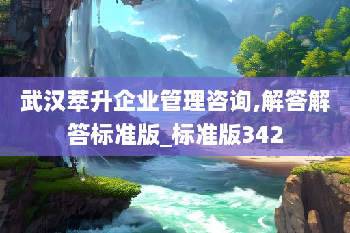 武汉萃升企业管理咨询,解答解答标准版_标准版342