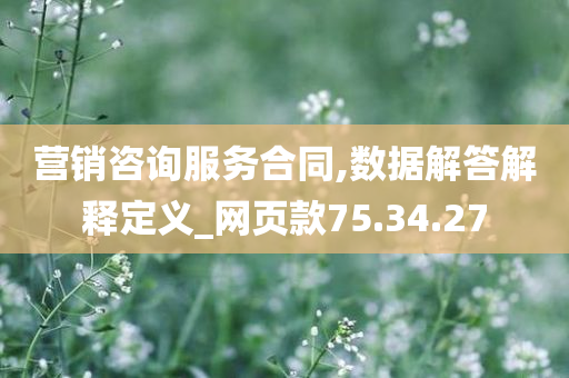 营销咨询服务合同,数据解答解释定义_网页款75.34.27